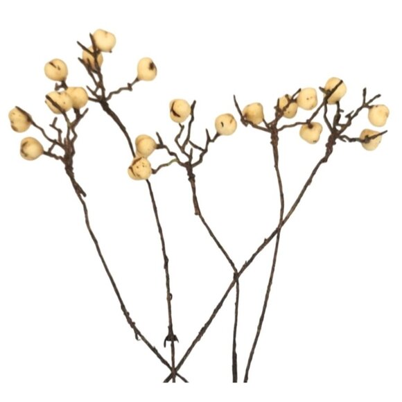 Artificial White Berry Stems 10" 5 Stem Bundle Rustic Floral Arrangement Decor - Picture 6 of 7